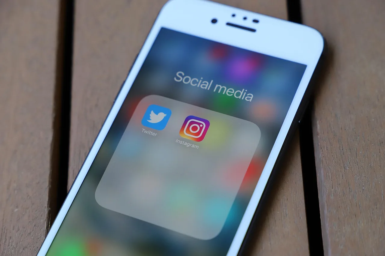 iphone, smartphone, social media, phone, mobile phone, icon, display, app, social networks, internet, social, facebook, instagram, twitter, social media, instagram, instagram, twitter, twitter, twitter, twitter, twitter. Measuring niche social networks data