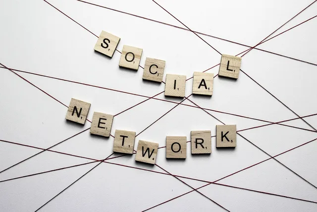 social, social network, network social, network, web, sharing, communication, online. Professional networks directory schema: each field's source class and how fast it goes stale